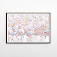 Load image into Gallery viewer, Flamingo 1567
